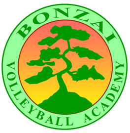 Bonzai Volleyball Academy Logo - The Art of Volleyball