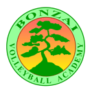 Bonzai Volleyball Academy - The Art of Volleyball!