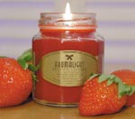 Healthy Fundraising Candles - Soy Candles