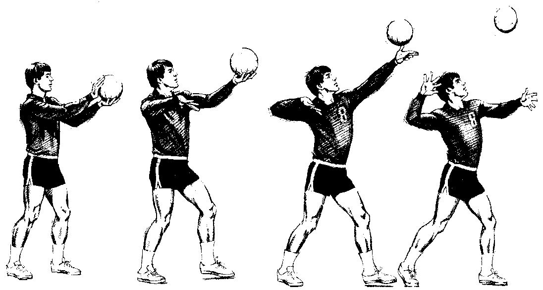 Southeast High School Seminole Volleyball